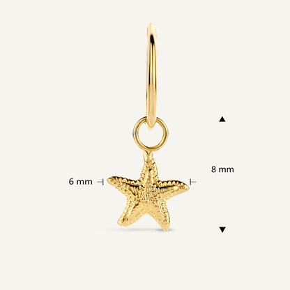 Jackie Amsterdam Starfish Ear Charm in 14K Yellow Gold size and detail view