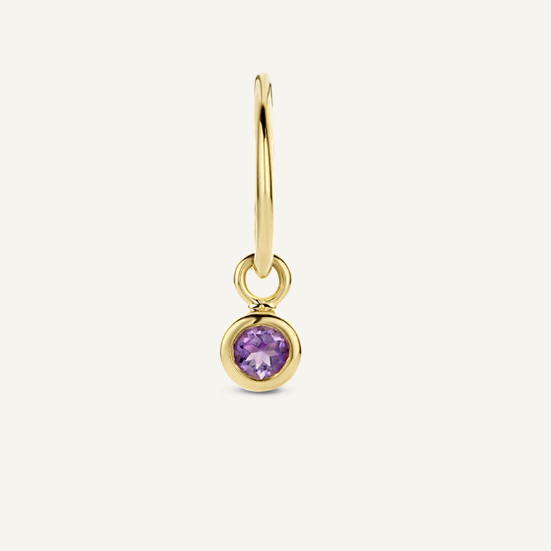 Jackie Amsterdam Amethyst Ear Charm in 14K Yellow Gold on hoop