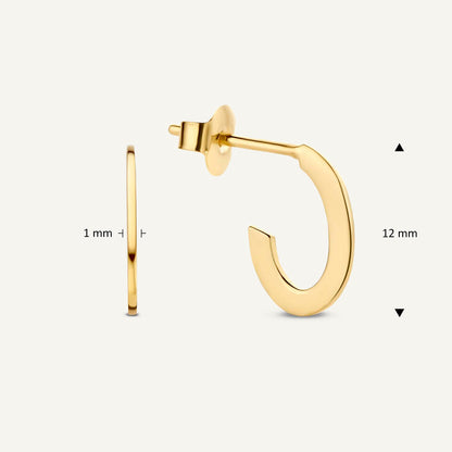 Jackie Classic Flat Hoop Earrings 12mm in 14K Yellow Gold dimensions