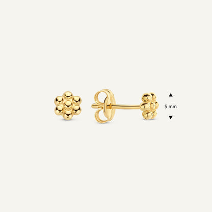 Jackie Margarita Studs in 14K Yellow Gold dimensions