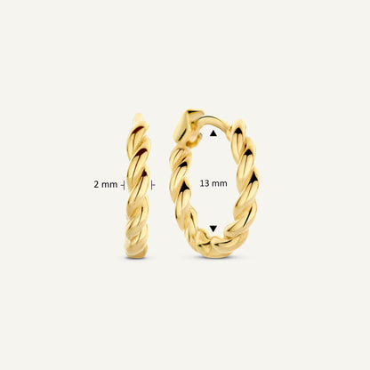 Jackie Litoral Hoops in 14K Yellow Gold dimensions