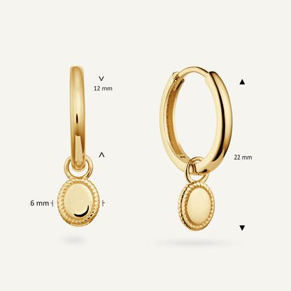 Jackie Amsterdam Hoops in 14K Yellow Gold dimensions
