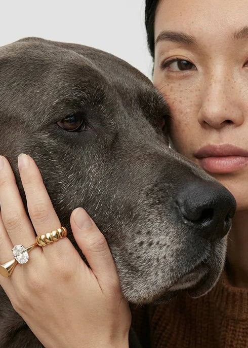 Person wearing a gold ring with a diamond, petting a large dog, on a plain background